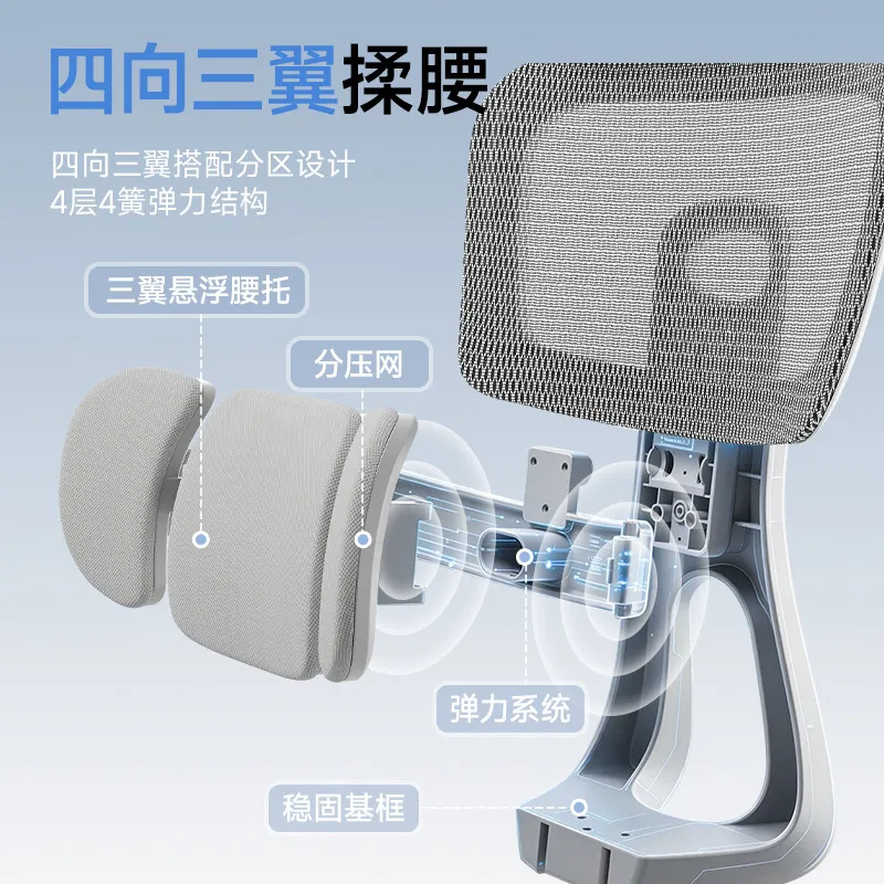 Ergonomic Office Chair with Lu - đánh giá và giá Home Office Work