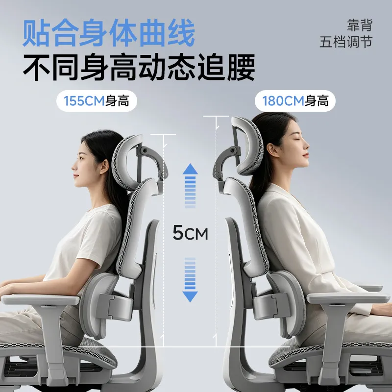 Ergonomic Office Chair with Lu - đánh giá và giá Home Office Work