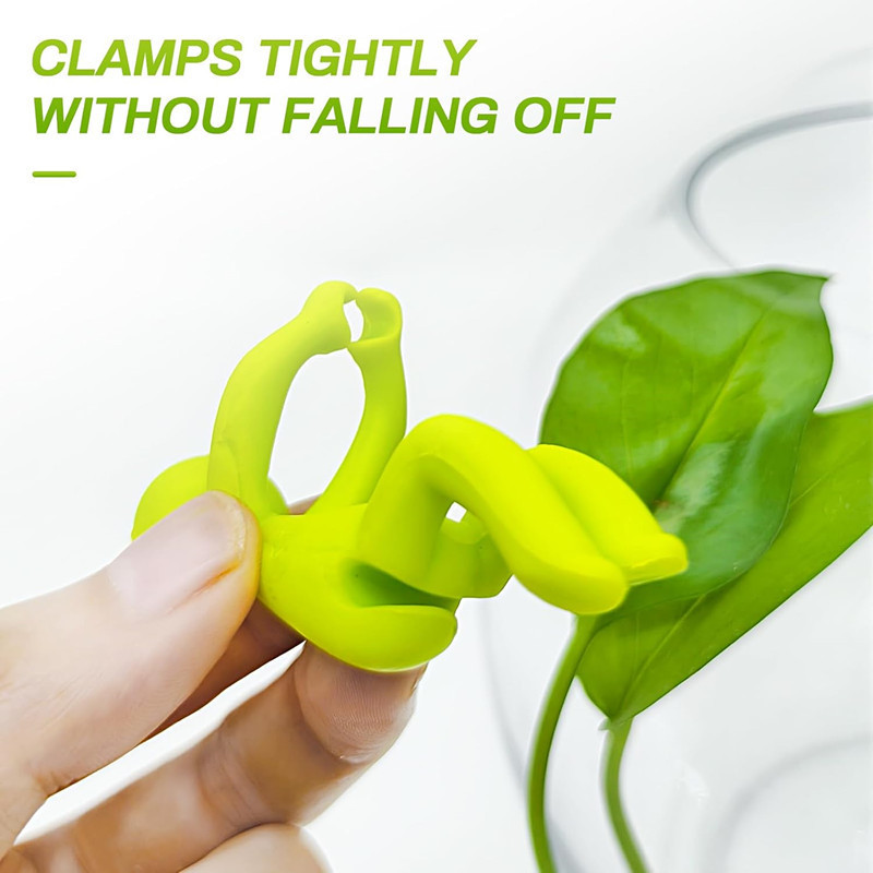 Hydroponic Plant Fixing Figuri - đánh giá và giá Home Office Word