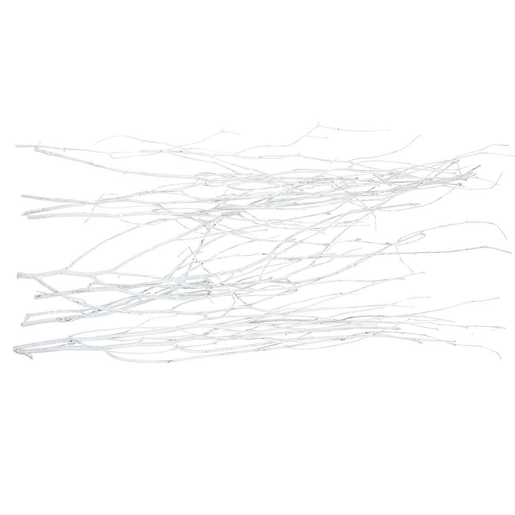 12Pcs Natural Small Twigs Drie - đánh giá và giá Home Office Word