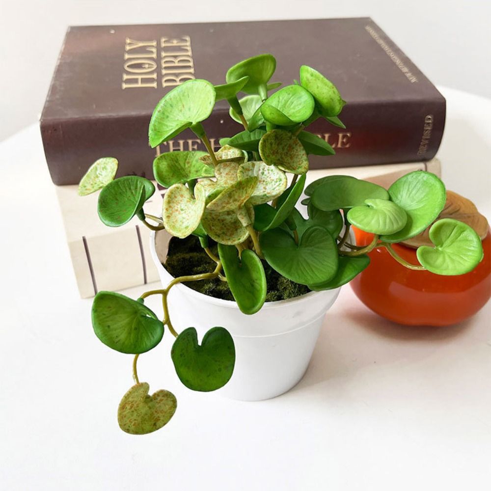 Soft Glue Artificial Plant EVA - đánh giá và giá Home Office Word