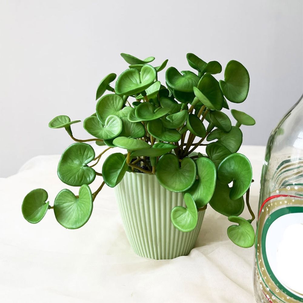 Soft Glue Artificial Plant EVA - đánh giá và giá Home Office Word