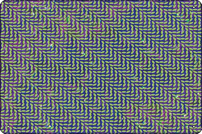 Animal Collective - Merriweath - đánh giá và giá Home Office X Post