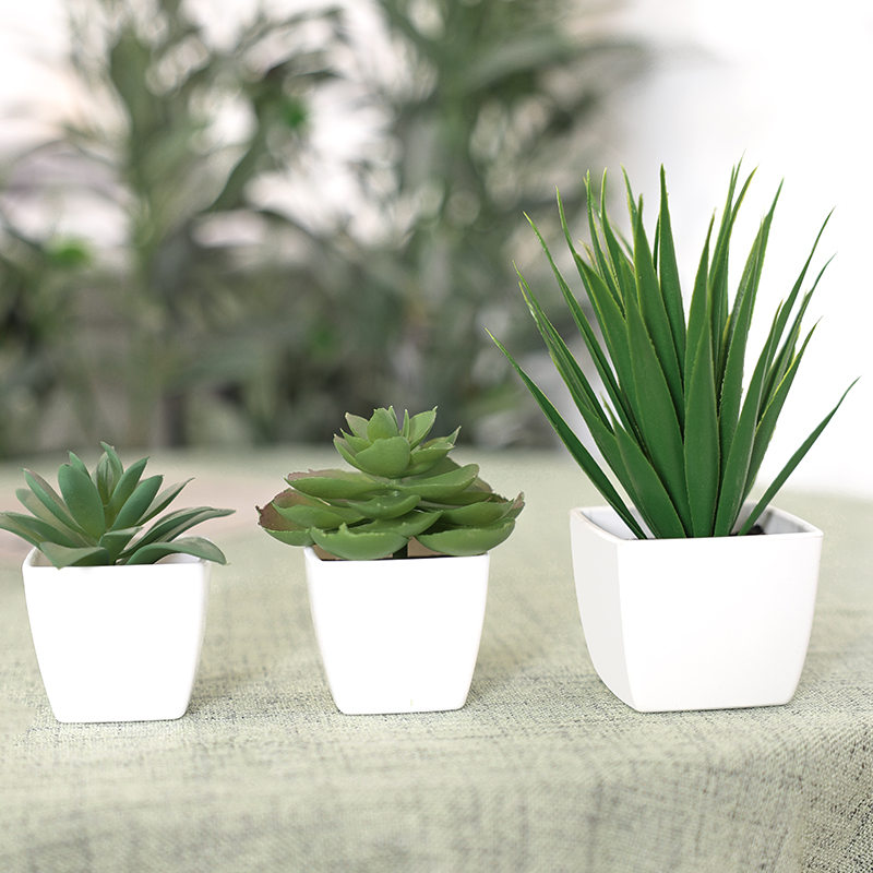 3PCS Artificial Evergreen Plan - đánh giá và giá Home Office Word