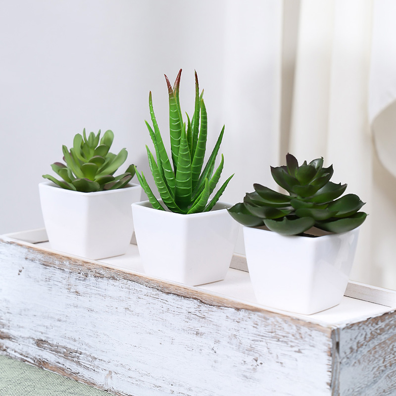 3PCS Artificial Evergreen Plan - đánh giá và giá Home Office Word