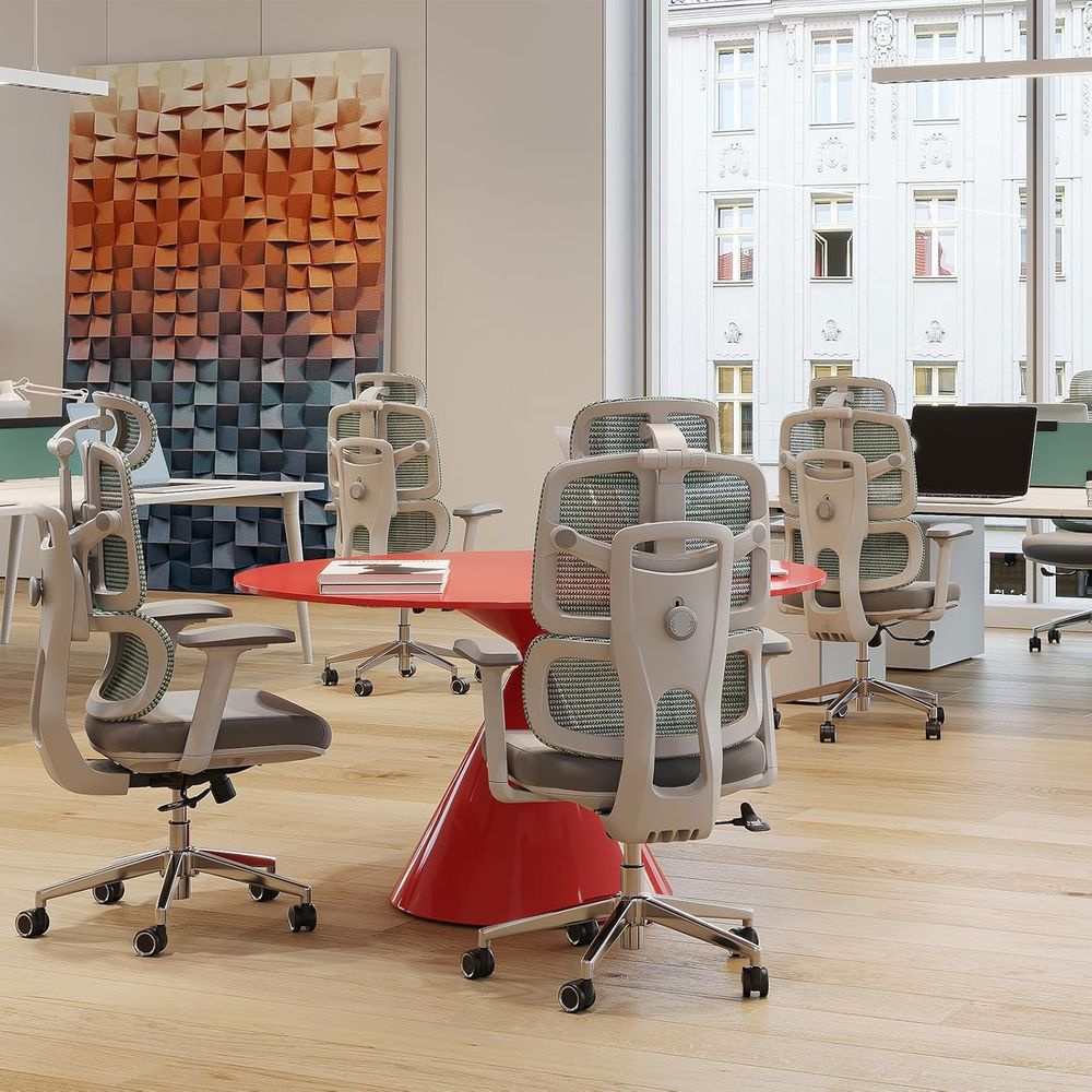 Ergonomic High-Capacity Mesh O - đánh giá và giá Ergonomic Office Chair