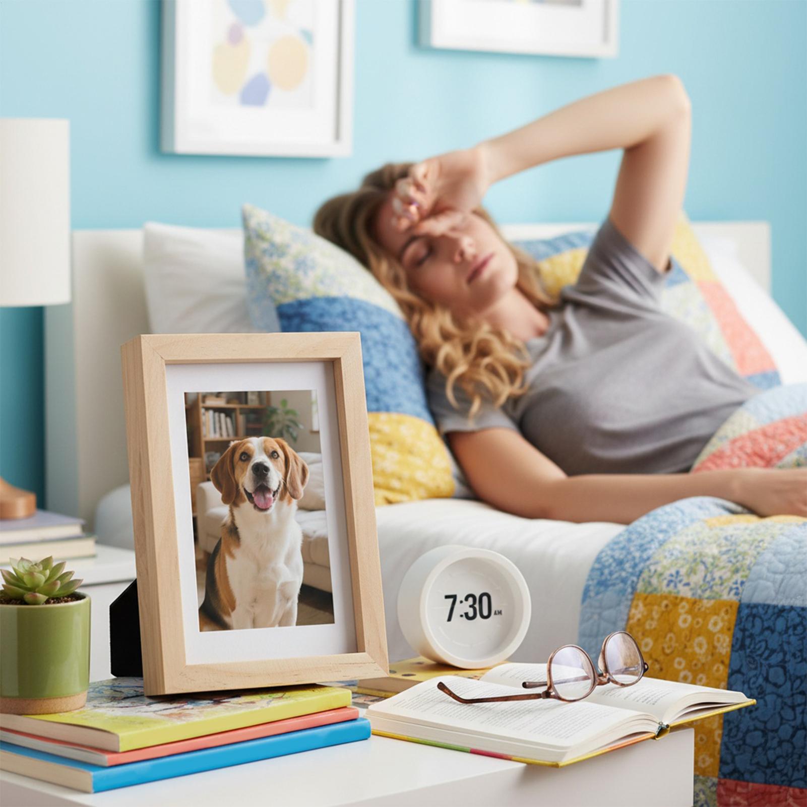 Safe Stash Frame Discreet Stor - đánh giá và giá Home Office For Passport