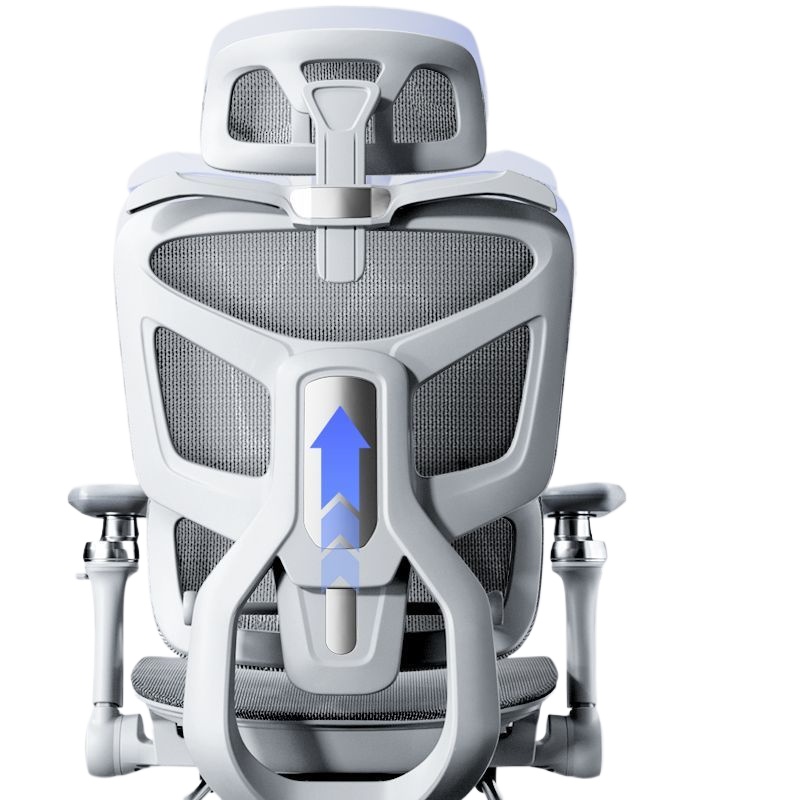 Ergonomic Office Chair for Com - đánh giá và giá Ergonomic Office Chair