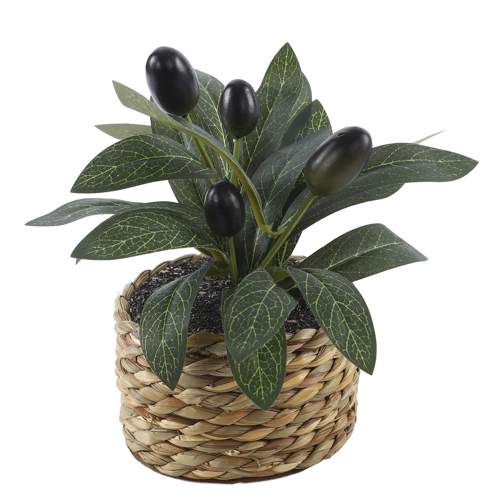 Artificial Plants Pocket Olive - đánh giá và giá Home Office Word
